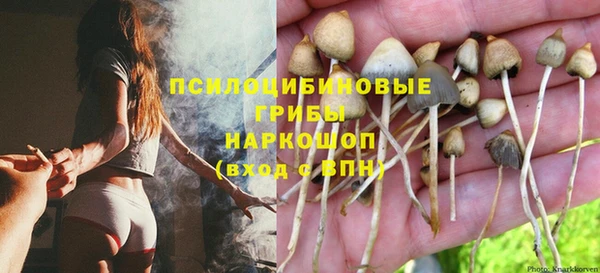 PSILOCYBIN Гусиноозёрск