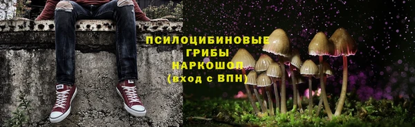 PSILOCYBIN Гусиноозёрск