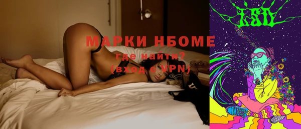 ECSTASY Пересвет