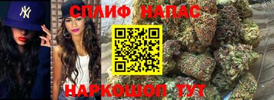 крисы Бузулук