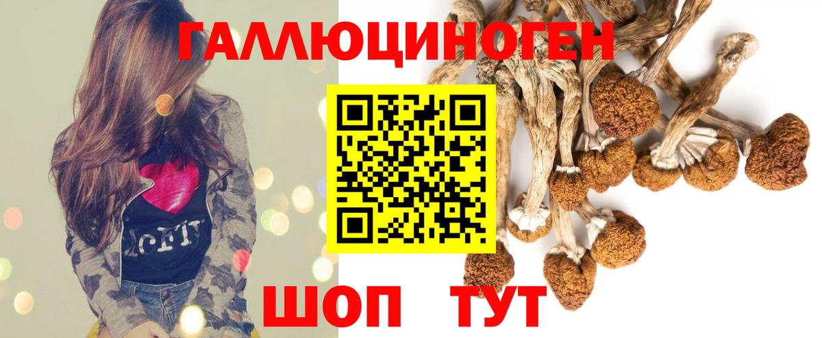 Зима  Галлюциногенные грибы Psilocybe  Галлюциногенные грибы Cubensis  Вход с VPN 